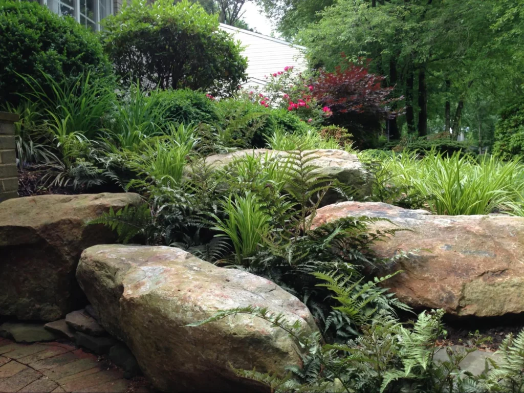 perennial gardening, rock garden, landscaping ferns, landscaping grasses