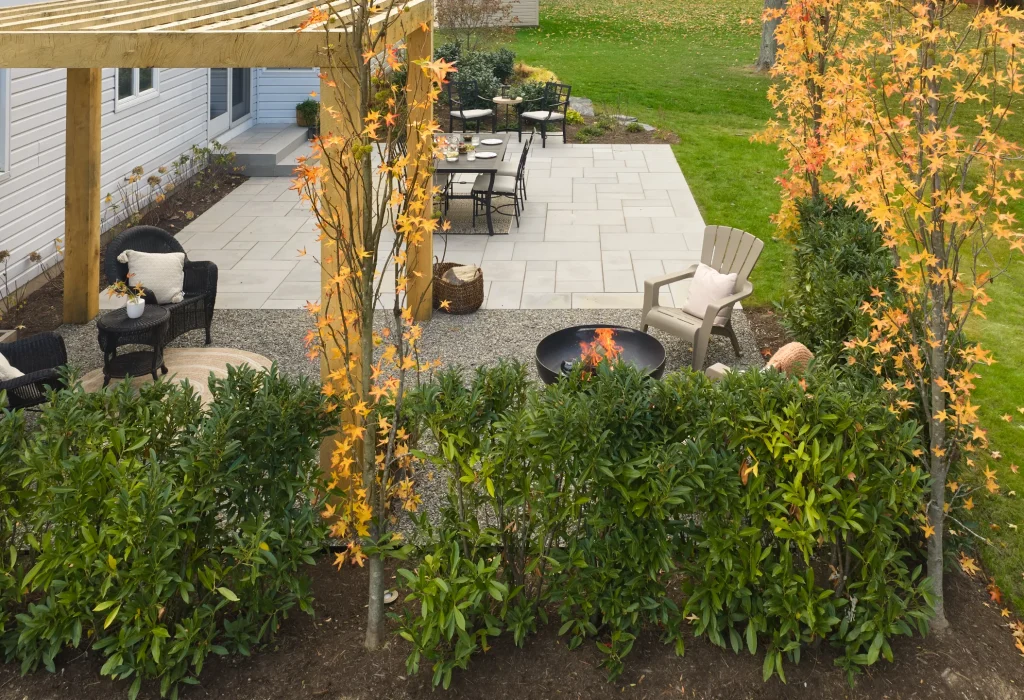 cozy-compact-plant-design-006